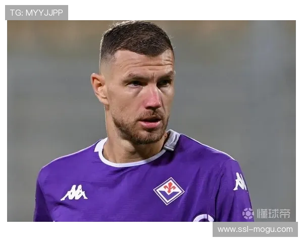 沙尔克04向哲科提供高额合同，巴黎FC加入争夺